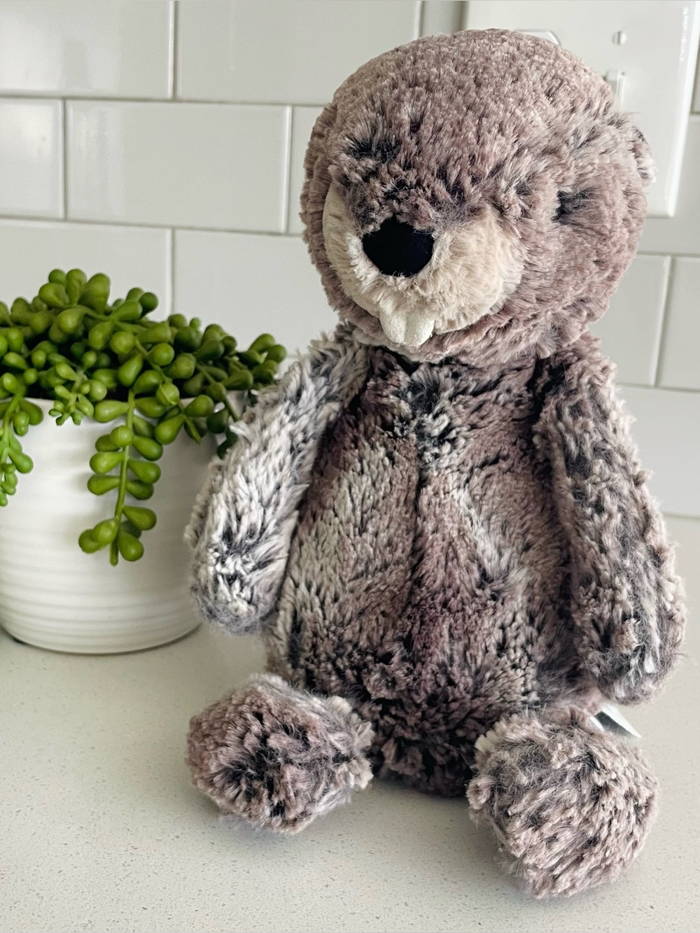 Jellycat Bashful Beaver